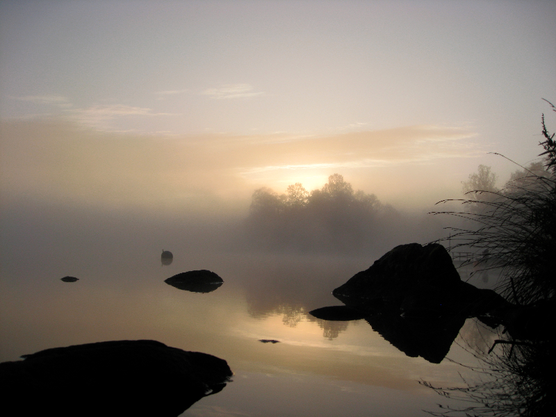 Bild från kollage